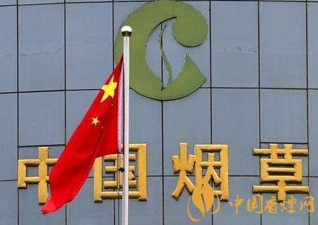 今日烟草资讯官网下载手机版江苏烟草电子商务网上订货平台登录入口