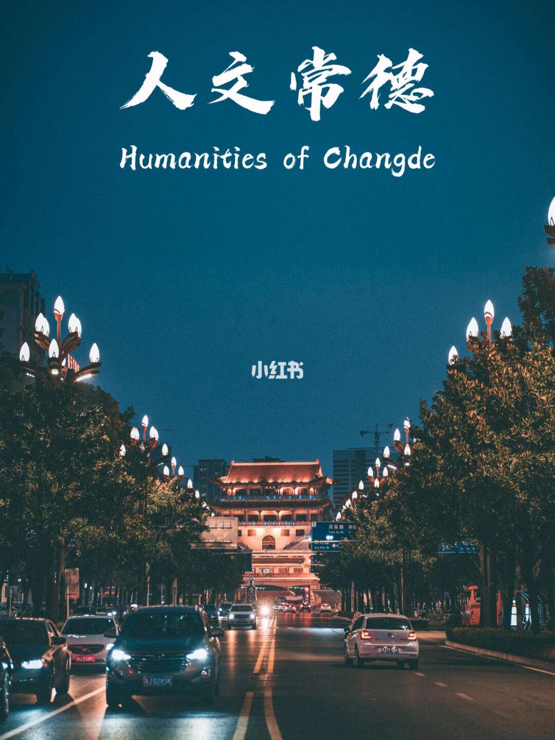 常德政府网手机版常德政府网官网首页
