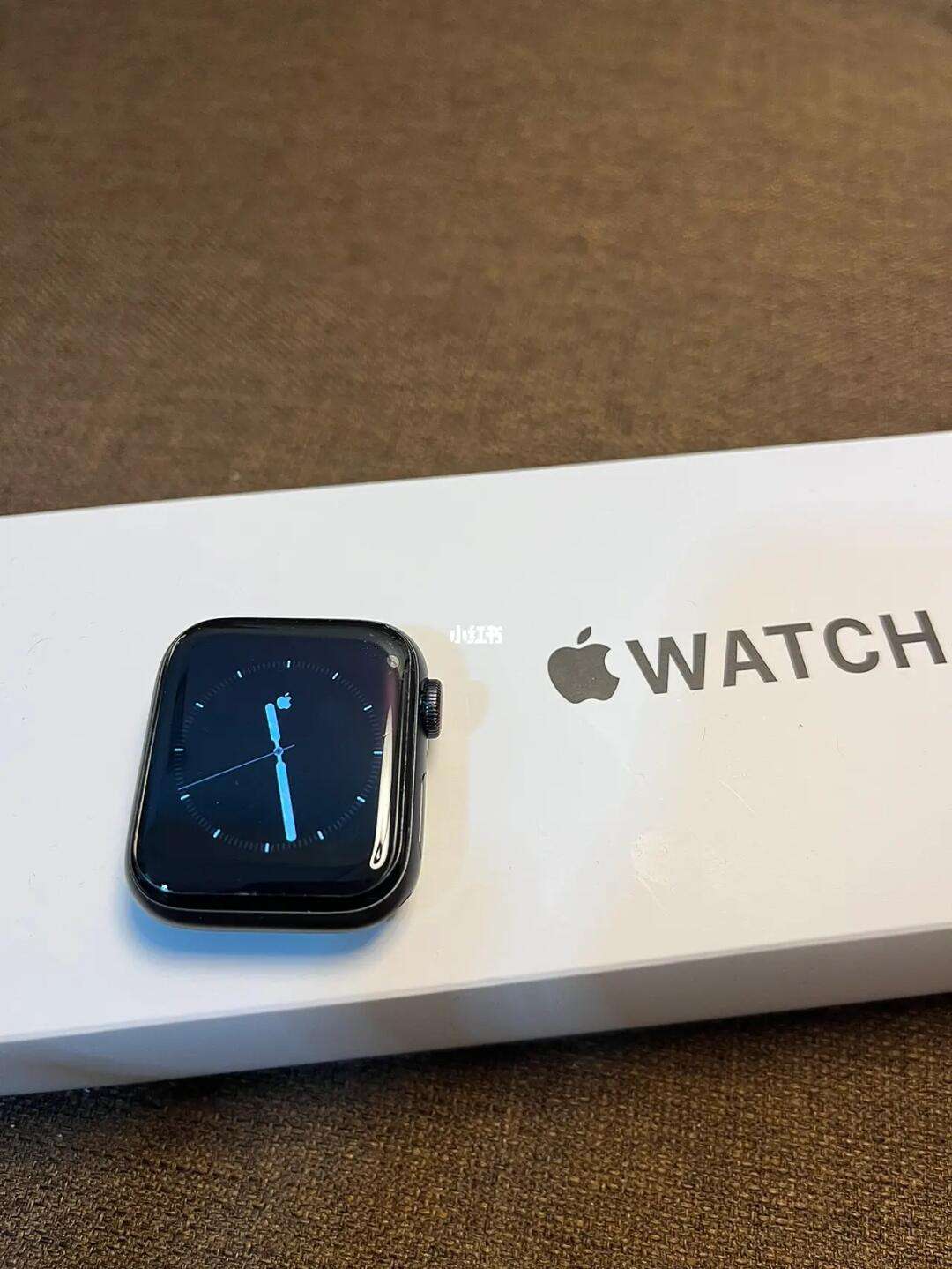 苹果segps版游泳进入iphone官网入口